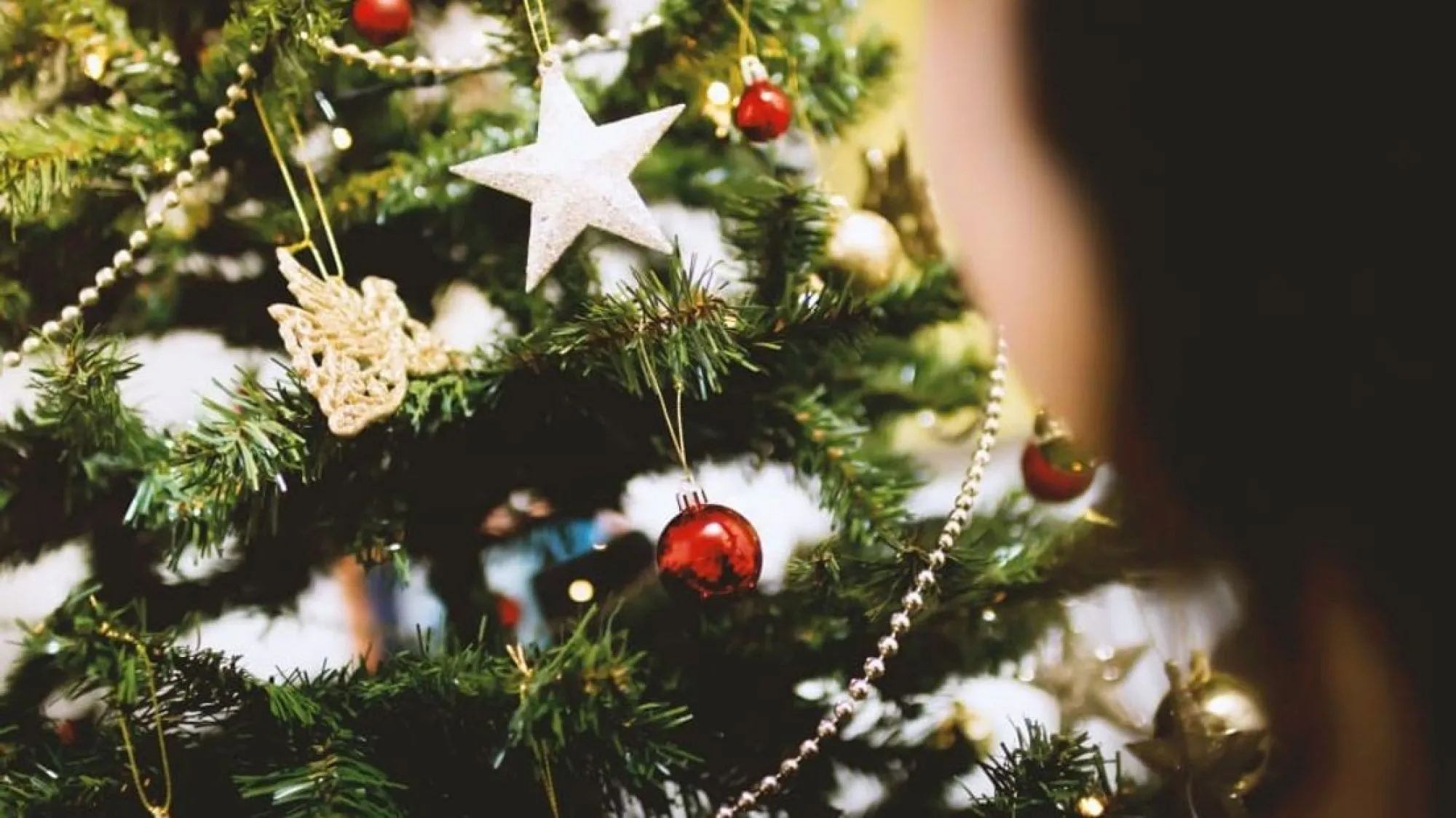 Kerst Diner in Twente, bij Restaurant Vinck 