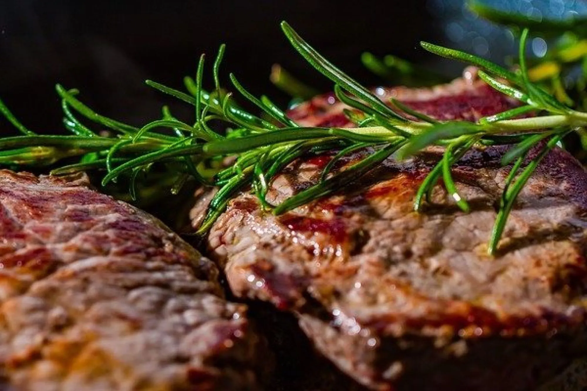 Wild eten in Twente, bij restaurant Vinck 